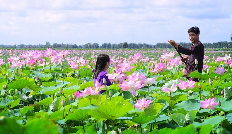 ASM Car Rental: Cho Thuê Xe Limousine Đi Tỉnh Đồng Tháp, Trà Vinh, An Giang, Sóc Trăng