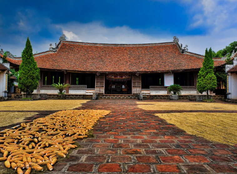 Tour Làng Cổ Đường Lâm: Trải Nghiệm Văn Hóa Trọn Vẹn Cùng ASM Car Rental